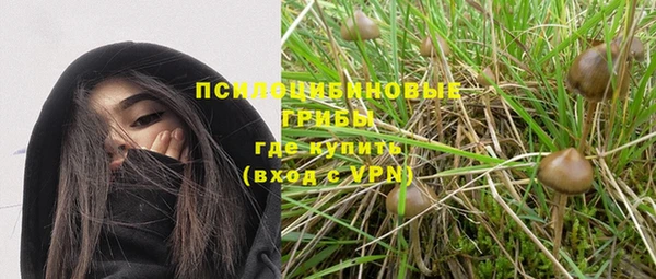 гашик Верхний Тагил