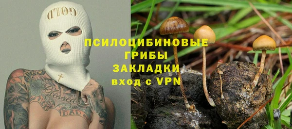 PSILOCYBIN Верхнеуральск