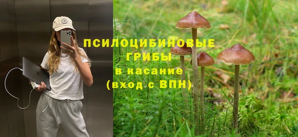 PSILOCYBIN Верхнеуральск