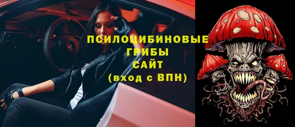 гашик Верхний Тагил